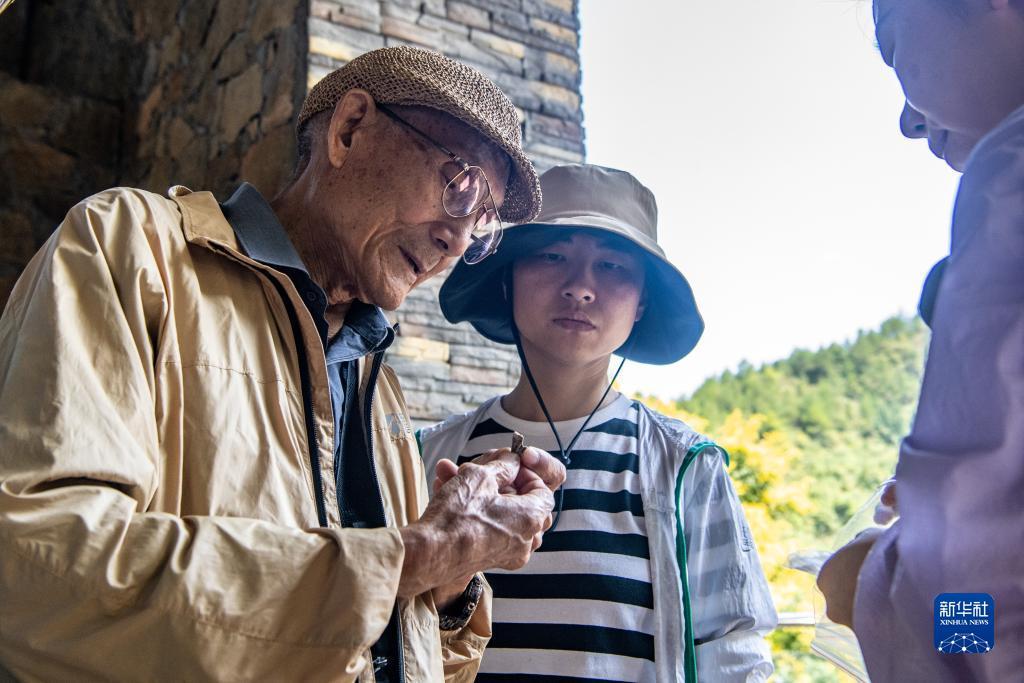 捉鱼游戏网